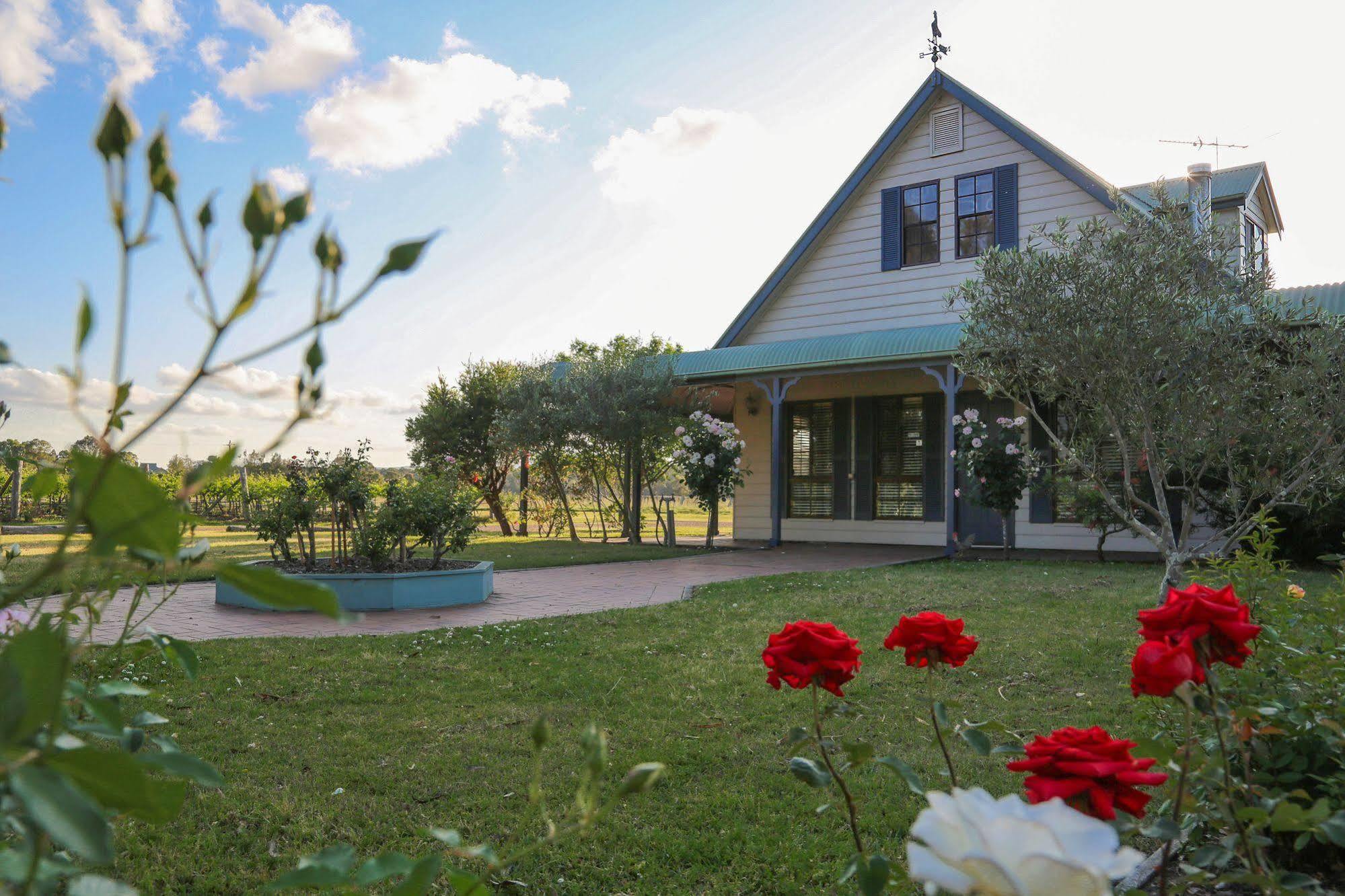 Emma'S Cottage Vineyard Lovedale Exterior foto